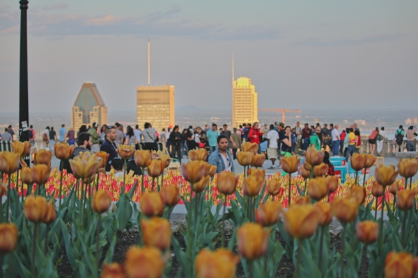Montreal