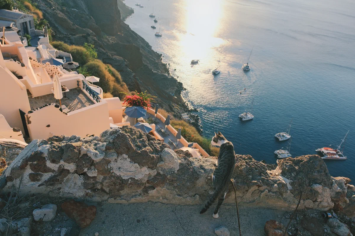 Oia