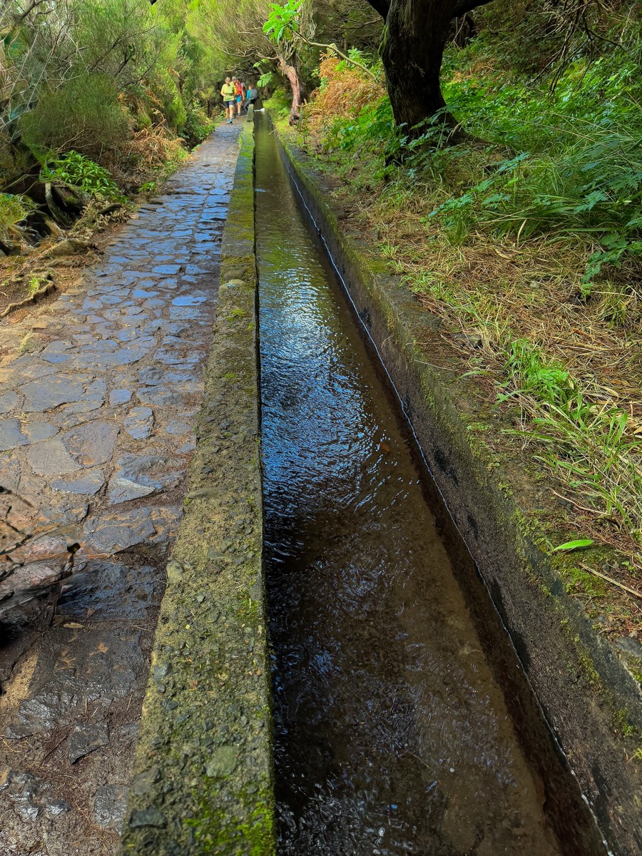 The 16th-century levadas still carry water through Madeira’s mountains.